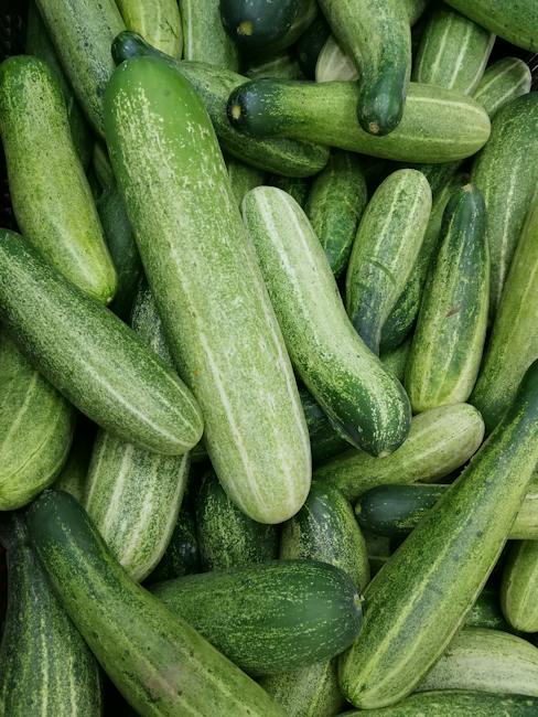 benefits of cucumber water