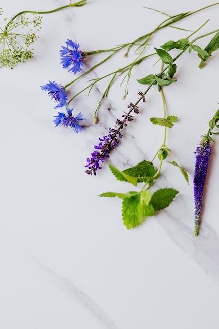 hyssop benefits