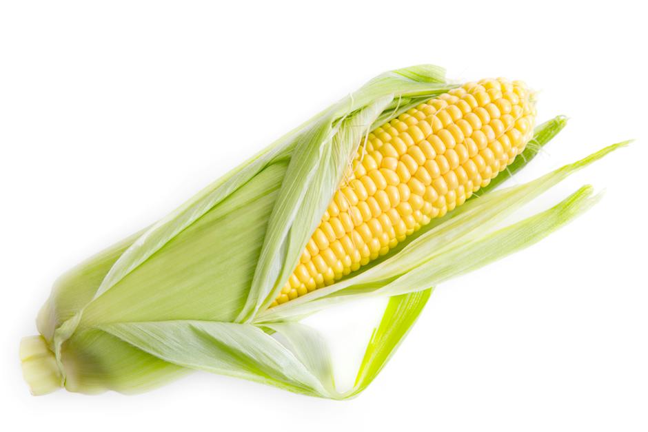 is corn good for weight loss