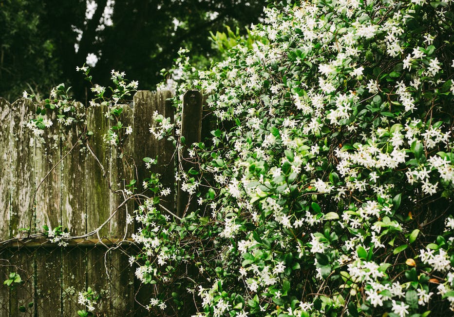 jasmine tea benefits