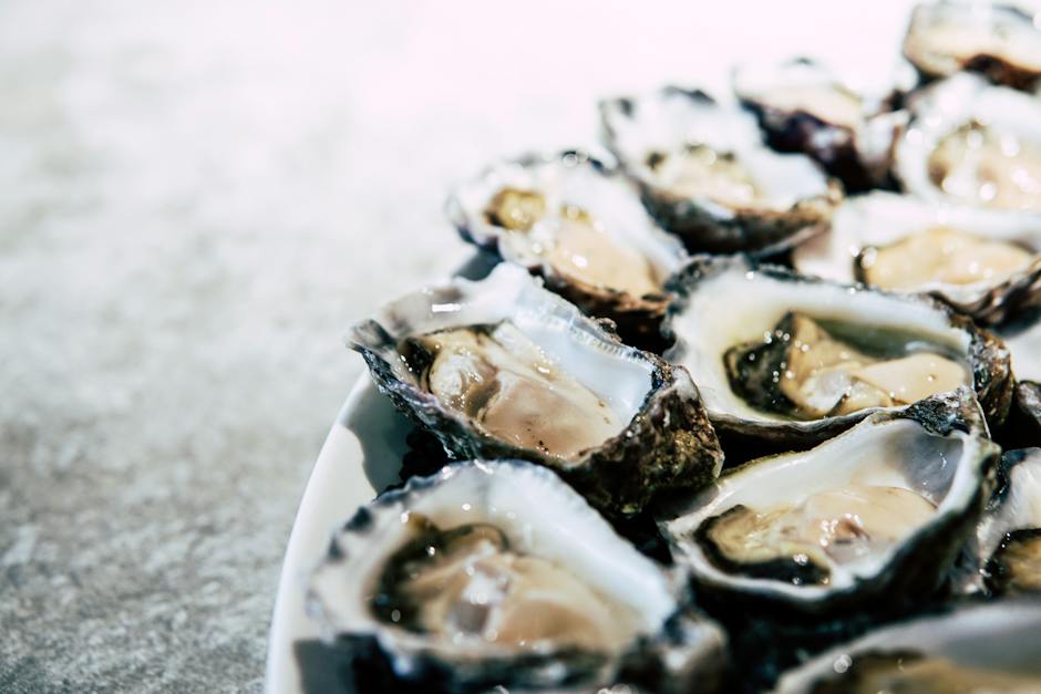 are oysters good for you