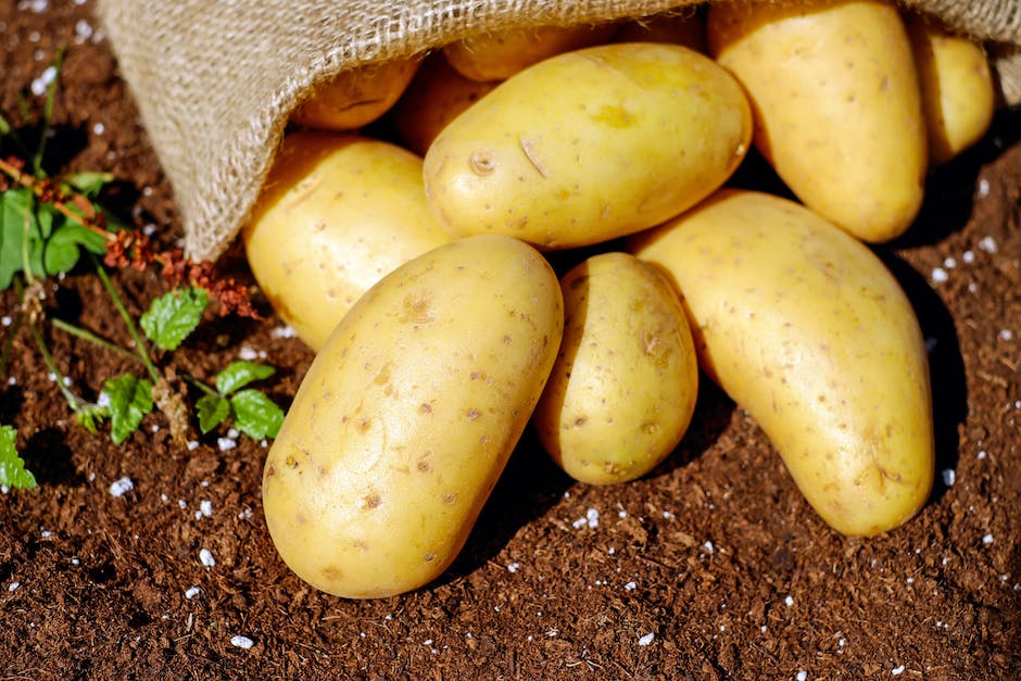 potato flour