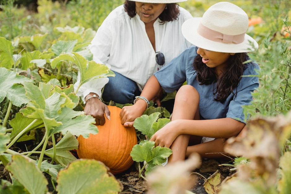 pumpkin seed oil for hair