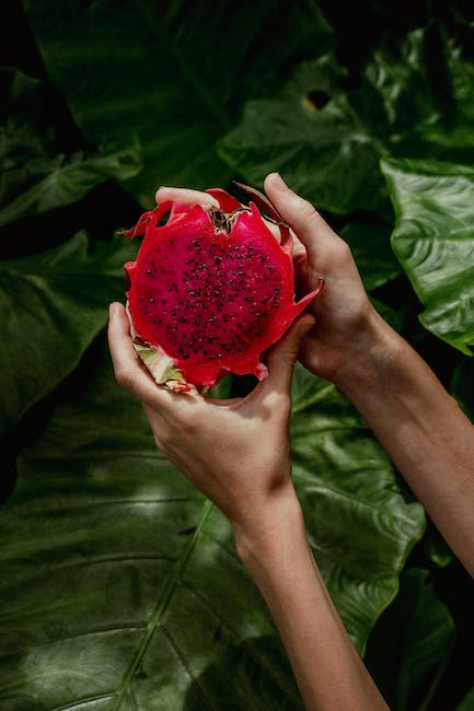 white dragon fruit