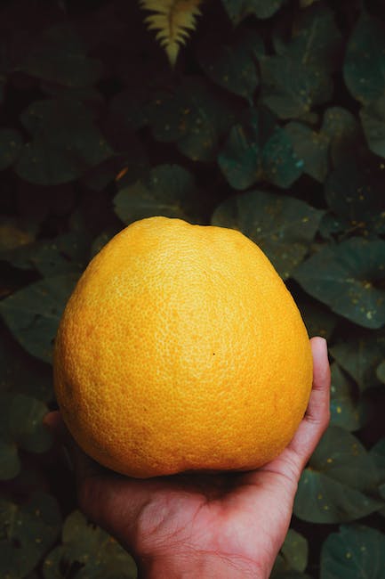 pomelo fruit