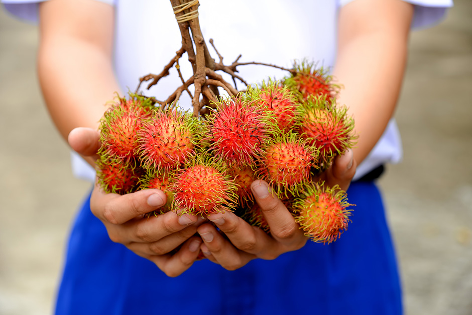 Delicious rambutan fruit on boy hands from market.